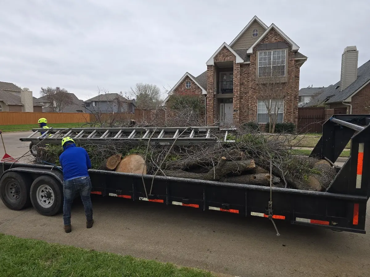 Expert Tree Removal with proper safety equipment in Annapolis